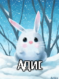 ��������: ����